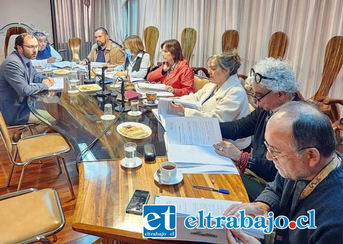 El Concejo Municipal deberá analizar y votar la creación de la Dirección de Seguridad Pública.