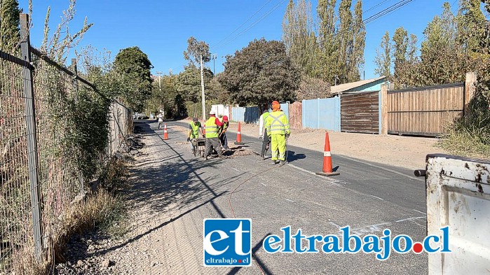 Paleteros instalados durante trabajos del sector.