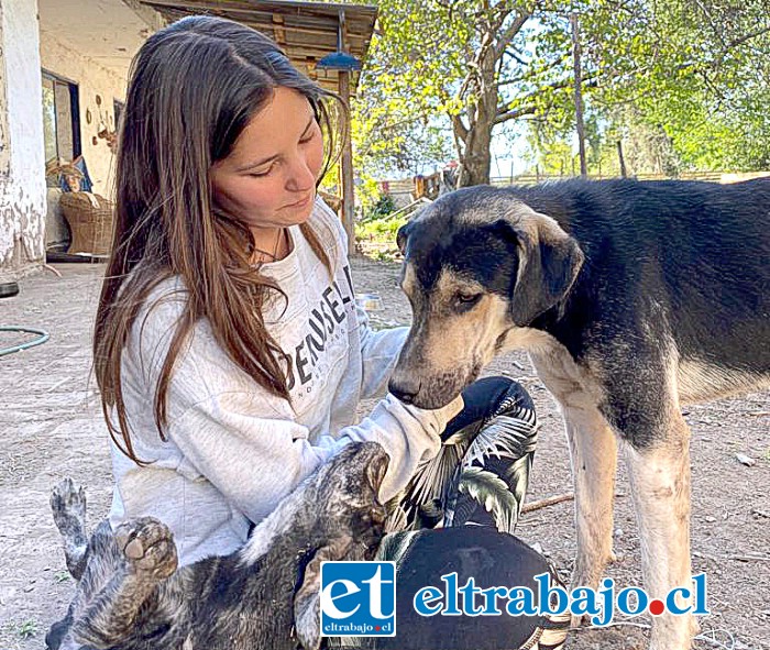 Catalina Soto, presidenta de la Fundación Nueva Vida Animal del Valle del Aconcagua.