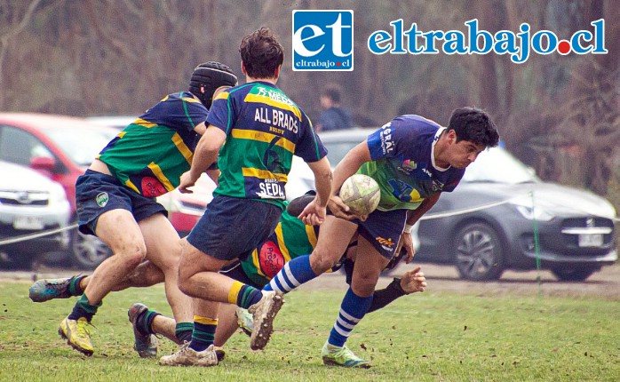 Los Halcones están muy cerca del primer lugar de la tabla.