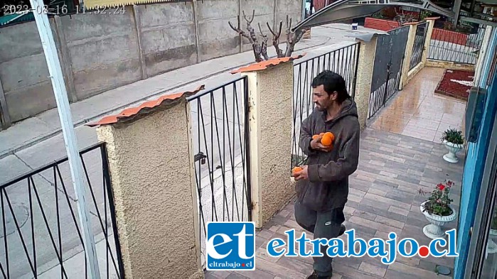 Según información de los vecinos, este registro lo muestra saliendo con naranjas de una vivienda en la Villa Cordillera. Se ve como la reja está con candado puesto.