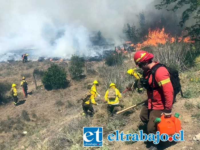 Para postular es necesario ser mayor de 18 años, salud compatible y tener ganas de trabajar; además deben acceder a la página www.conaf.cl donde se indican todos los pasos a seguir.