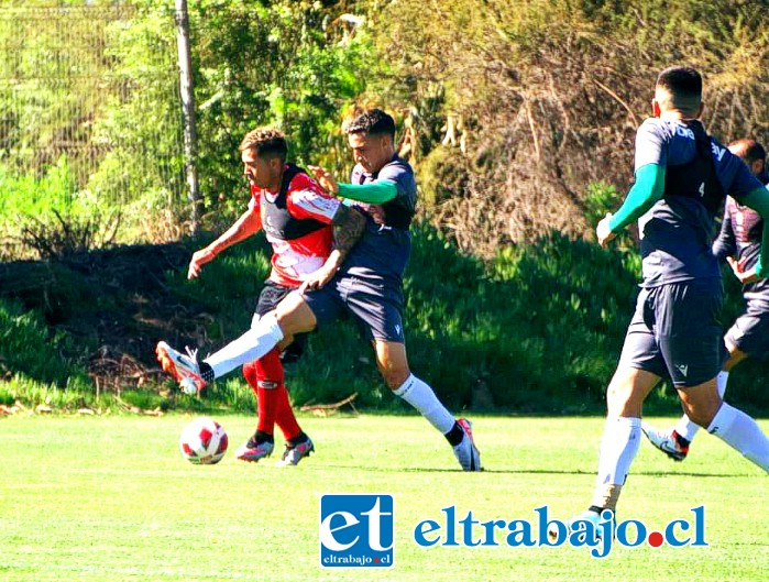 Este domingo los albirrojos volverán al ruedo competitivo.