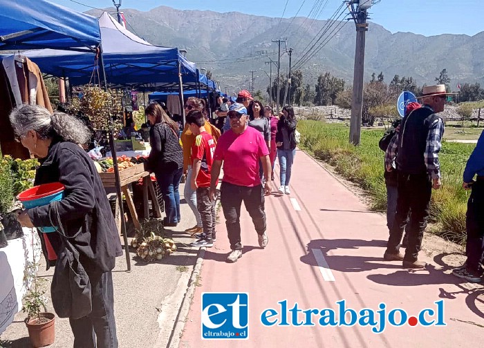 La nueva Feria de Emprendedores de Putaendo, se instalará este domingo en el Parque Puente Cimbre.