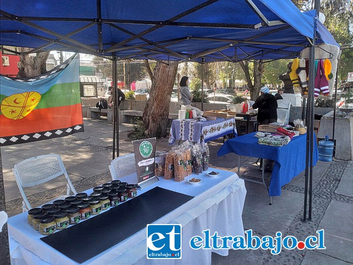 Estos son parte de los puestos de la feria de los pueblos originarios.