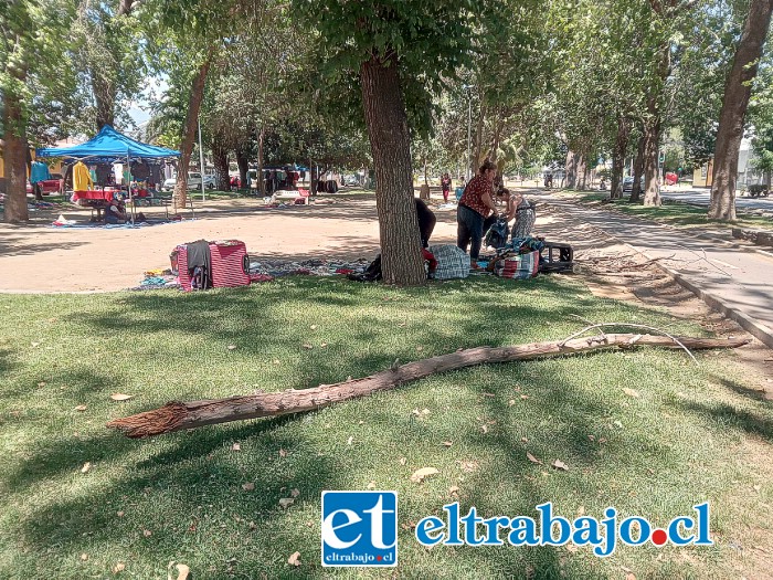 Este es el gancho que estuvo a punto de caer sobre comerciantes instaladas en la Avenida Chacabuco, a metros de la Avenida Yungay.