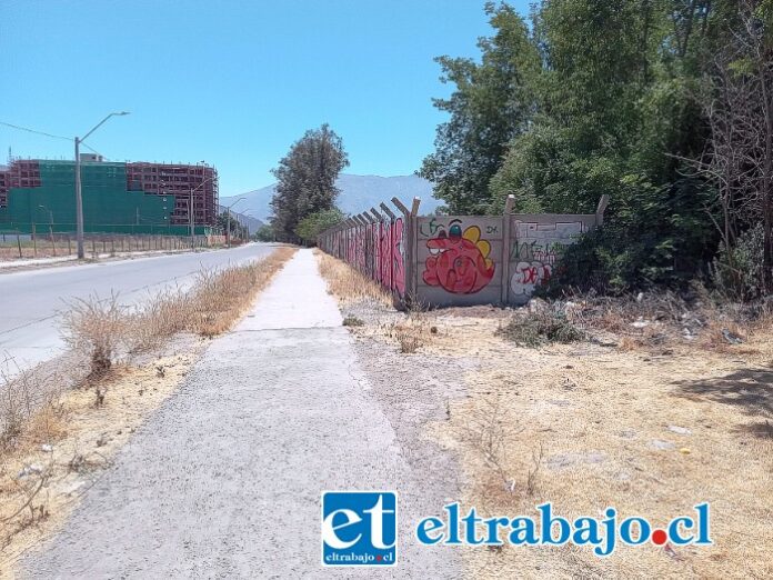 El pasto seco que está propenso a un incendio teniendo en cuenta las altas temperaturas.