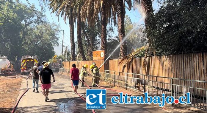 Bomberos y Conaf trabajaron para extinguir las llamas.