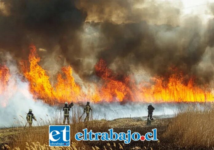 Este lunes se decretó Alerta Roja para la Provincia de San Felipe por temperaturas extremas.