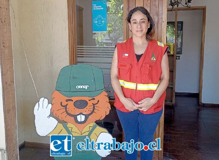 Denisse Núñez, jefa provincial de Conaf San Felipe-Los Andes.