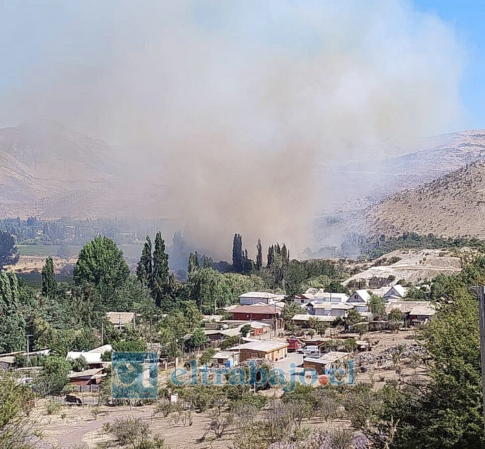 Incendio forestal en el sector Las Bandurrias, Rinconada de Los Andes, consumió 9,5 hectáreas.