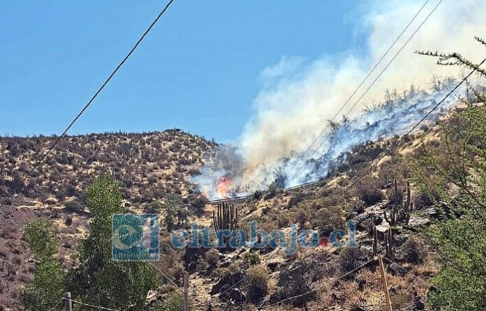 Siniestro en Putaendo, sector Las Minillas, dejó 4,7 hectáreas calcinadas, pero fue extinguido.