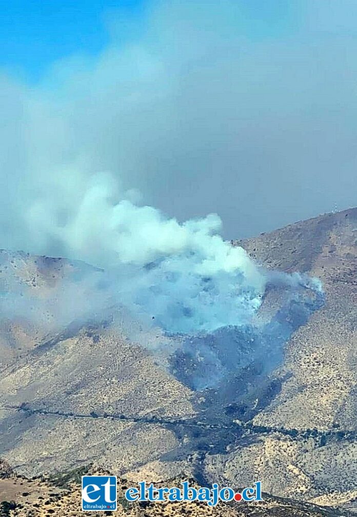 Incendio forestal consumió 40 hectáreas frente al Casino Enjoy.