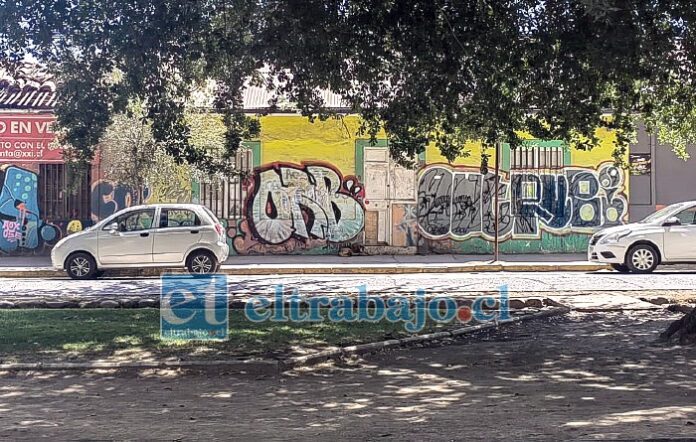 Siguen los problemas en las propiedades abandonadas de avenida Chacabuco.