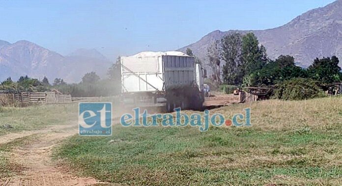 Este sería uno de los camiones que pasó transportando guano de pavo.