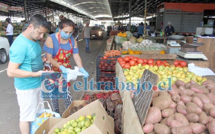 Desde ahora la Asociación de Feriantes Mayoristas de Aconcagua, Afema, ubicada en Hacienda Quilpué, atenderá los martes y no los lunes.