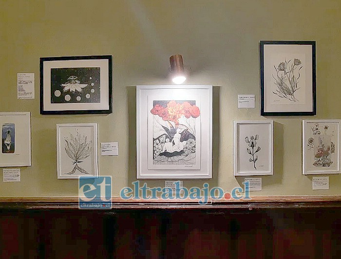 Parte de las obras de ‘Lidnead’ en muestra que se realizó en el restaurante Terra Mater en Los Andes, donde quisieron dar a conocer a algunos artistas de la zona.