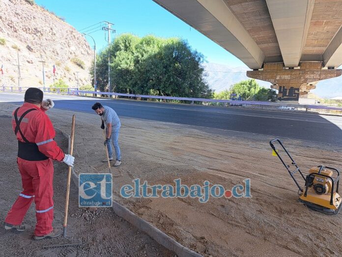 Se pondrá vegetación, la que incluye especies nativas o poco invasivas, además de letras con el nombre de la comuna y un posible mural.