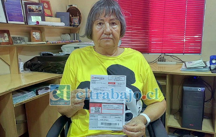 Nelly Vega Zúñiga, habitante de la localidad de Curimón, a quien la empresa de electricidad le facturó en el mes de enero $1.566.390 pesos, cobrándole en una sola cuenta siete meses que ya había pagado oportunamente.