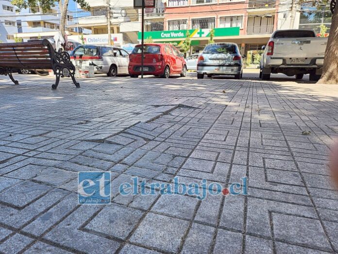 En la imagen se puede apreciar claramente el mal estado en que se encuentran las baldosas.