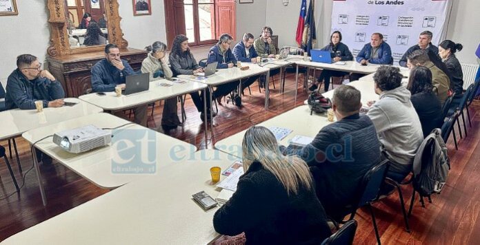 Seremi de Salud desarrolla estrategia para el control y erradicación del Aedes Aegypti en la provincia de Los Andes.