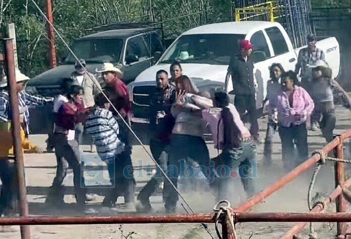 Cinco personas resultaron lesionadas durante una riña registrada en la medialuna de Putaendo. (Imagen referencial).