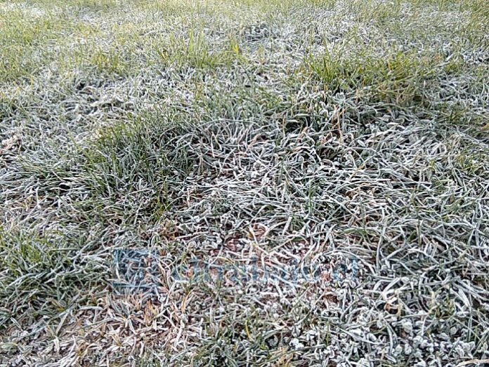 Temperaturas bajo cero se registraron en diversos sectores como Curimón, Santa María y Rinconada. (Foto archivo)