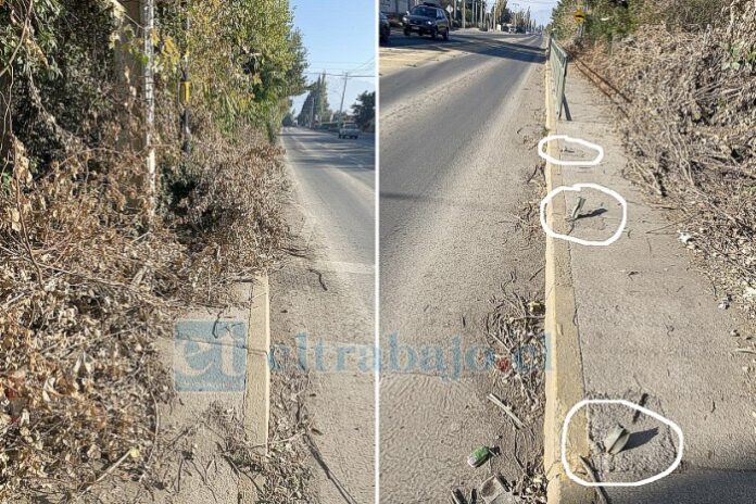 Acá se aprecian las ramas sobre la vereda por donde deben transitar las personas. A la derecha, en los círculos se aprecian los restos de fierro, donde perfectamente alguien se puede tropezar y caer.