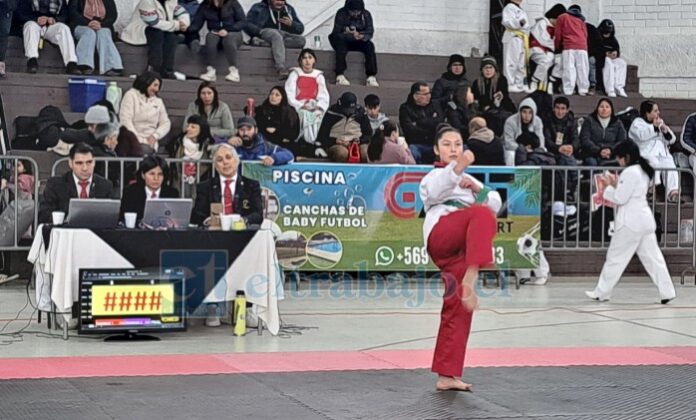 Las modalidades que se presentaron fueron kyorugi y poomsae, en las categorías preinfantiles, infantiles, juveniles, adulto y sénior.