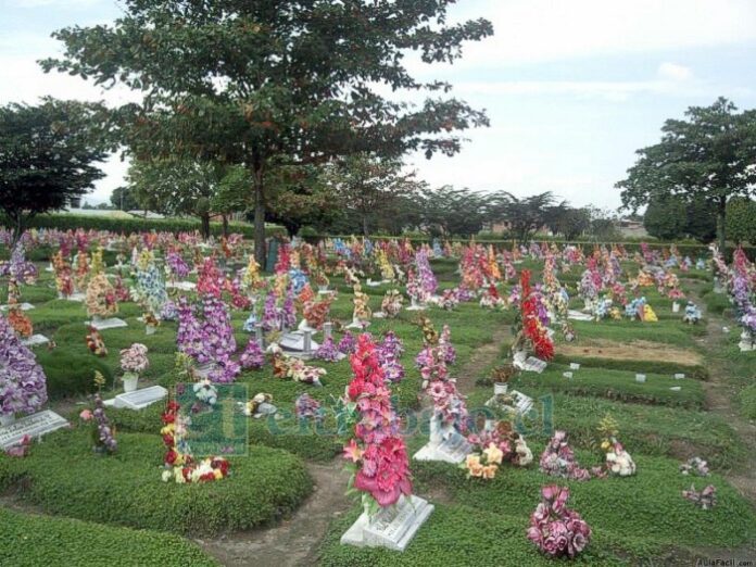 Los floreros (y no las flores) con agua estancada, constituyen un riesgo para la proliferación del mosquito Aedes aegypti, que transmite el Dengue. (Imagen referencial)