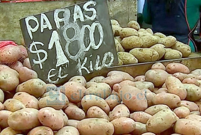 Papas, zanahorias y lechugas, son las verduras que más alza en sus precios han experimentado.