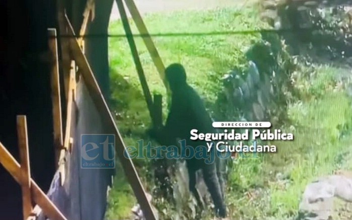 El individuo intentando arrancar más pilares (Gentileza Municipalidad de San Felipe).