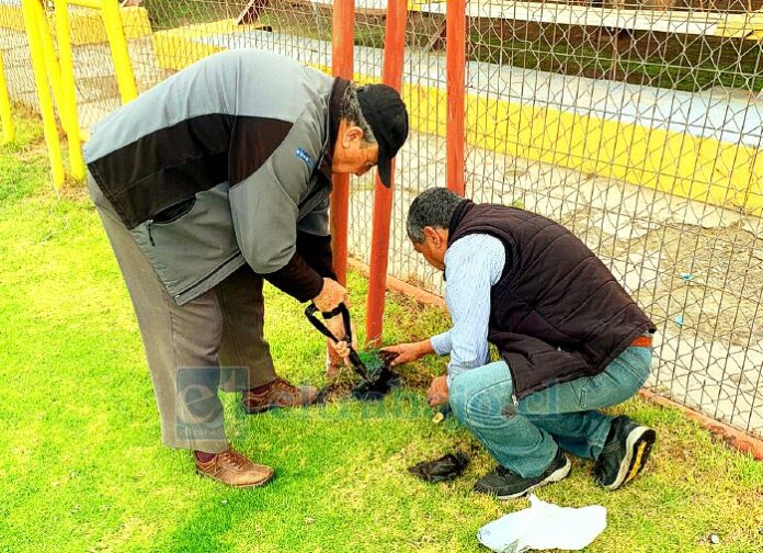 Los reconocidos comunicadores en plena faena de la plantación de la Ruda.