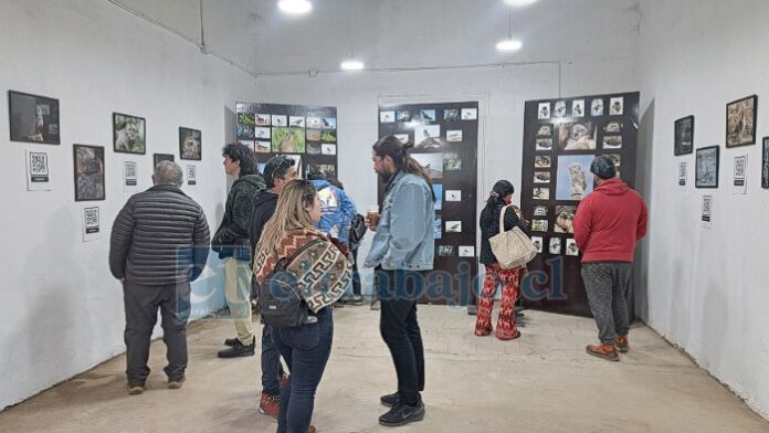 Los miembros del colectivo dijeron sentirse reconfortados con el trabajo fotográfico ya que los asistentes fueron informados sobre aves que suelen ver, promoviendo la identidad territorial.