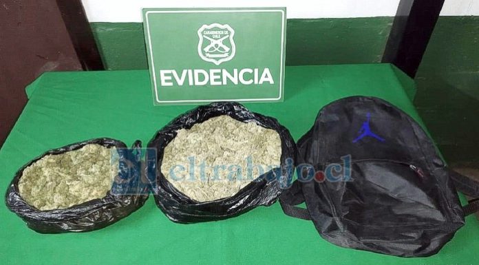 Esta es la droga incautada por Carabineros de Putaendo.