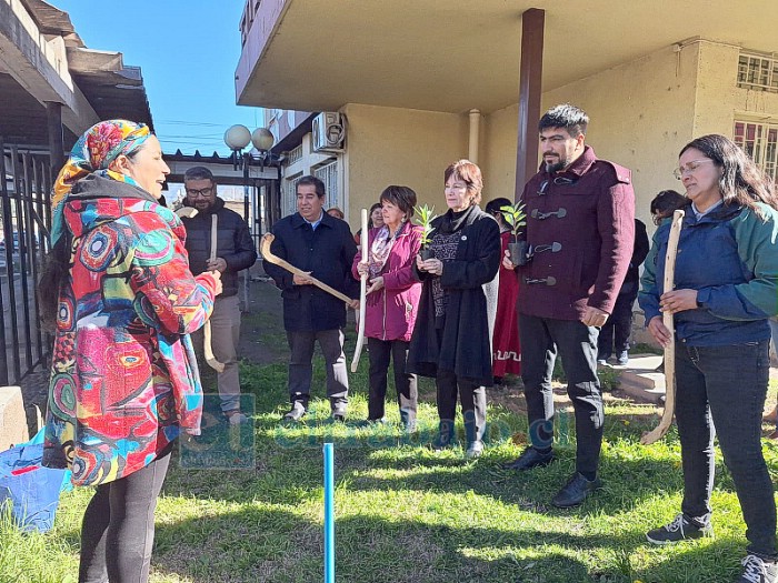 En el jardín de la Delegación Presidencial Provincial de San Felipe, agrupación indígena ‘Pakcha’, plantó dos canelos.