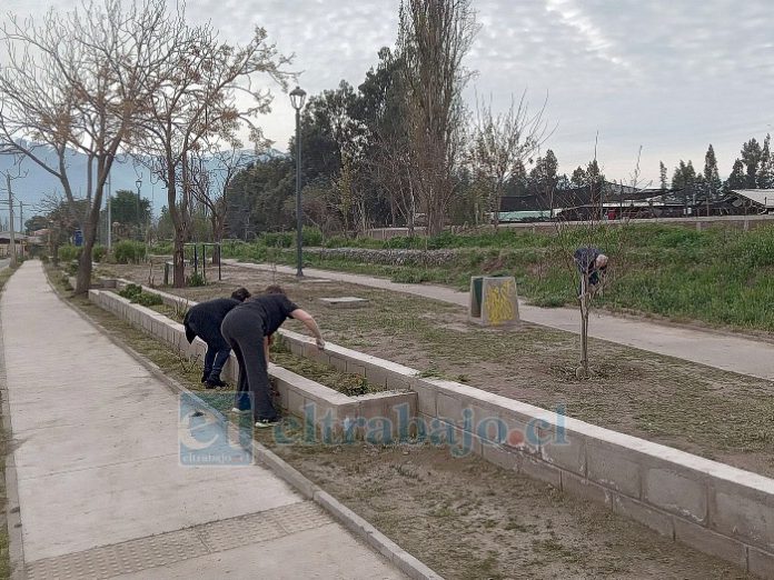 Las vecinas y un vecino limpiando el lugar, precisamente donde piden asientos y juegos infantiles.