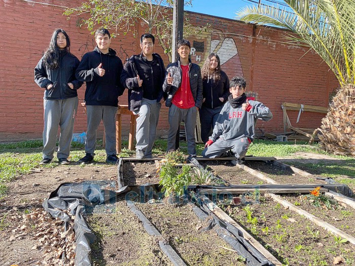 Desde marzo estudiantes del Liceo Roberto Humeres se encuentran trabajando en el proyecto de lechugas con sabor a limón.