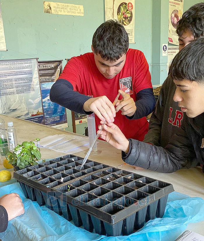 Alrededor de 40 escolares son parte de la academia.