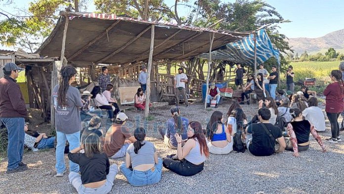 Estudiantes de la Universidad de Chile participan en el intercambio de saberes ‘Sistema alimentario local’ en la chacra del agricultor José Carrasco. También asistió Luis Lara, presidente de la Feria Mayorista (Afema).