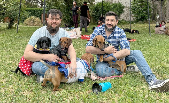 Algunos cuentan con más de uno de estos peludos amigos en sus hogares. 