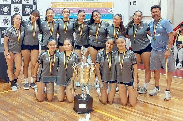 Sub 14 femenina de vóleibol del Liceo Cordillera se quedó con la Copa Promesas.