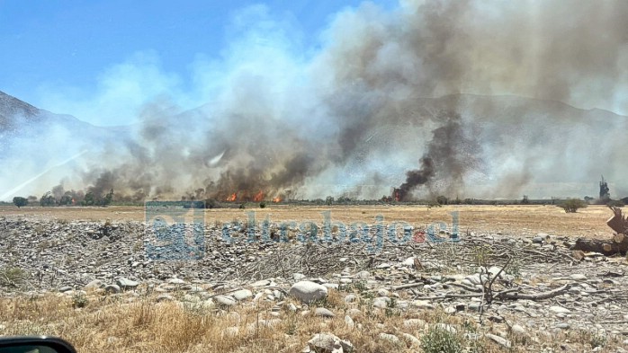 Un total de 15 hectáreas fueron arrasadas por el fuego. 