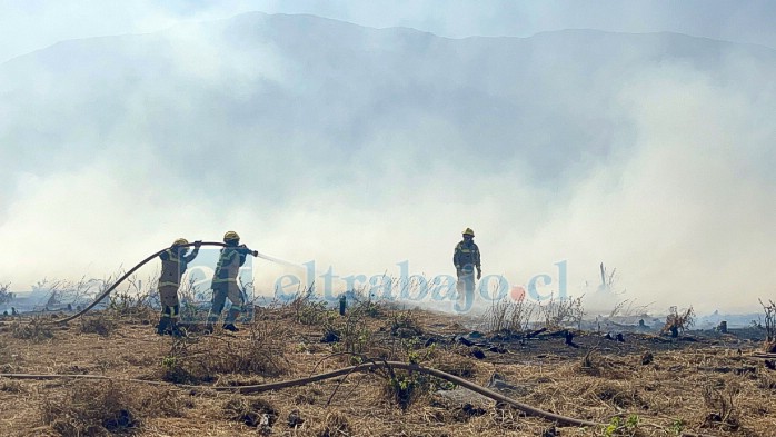 Bomberos trabajando en la extinción de las llamas. 