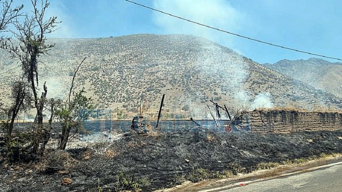 Incendio forestal en Tierras Blancas fue controlado por Bomberos.