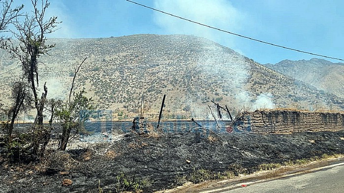 Incendio forestal en Tierras Blancas fue controlado por Bomberos. 