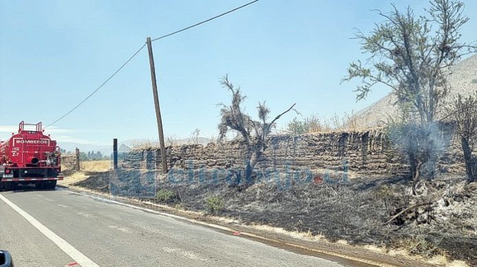 Catorce incendios de pastizales en solo diez días han ocurrido en el mismo sector de Tierras Blancas.