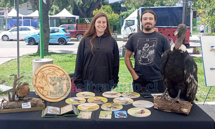 Distintas labores cumplirán quienes se unan al voluntariado.