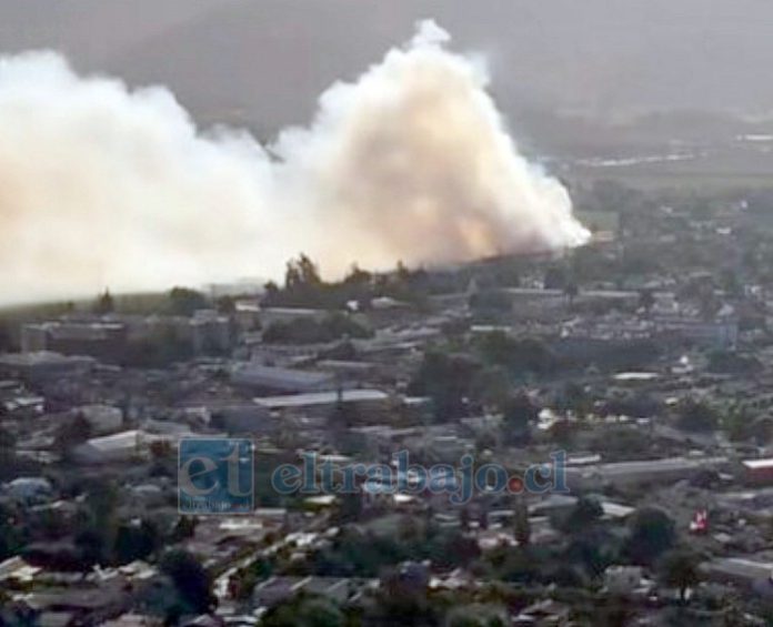 Incendio forestal en Llay Llay logró ser controlado y evitar que alcanzara a viviendas y locales comerciales.