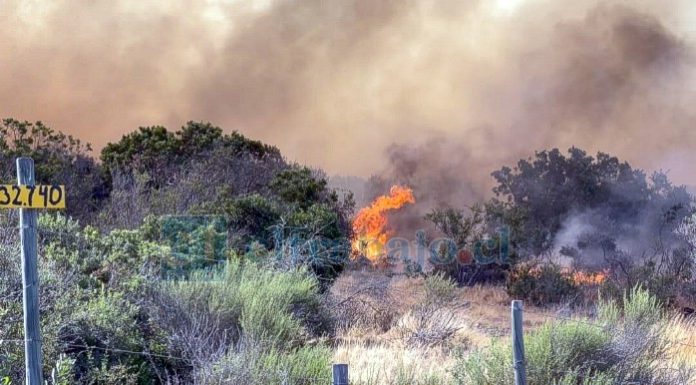 Incendio forestal afectó al menos 50 hectáreas en Catemu.